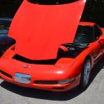 StElizabeth_009 (June 16, 2017)